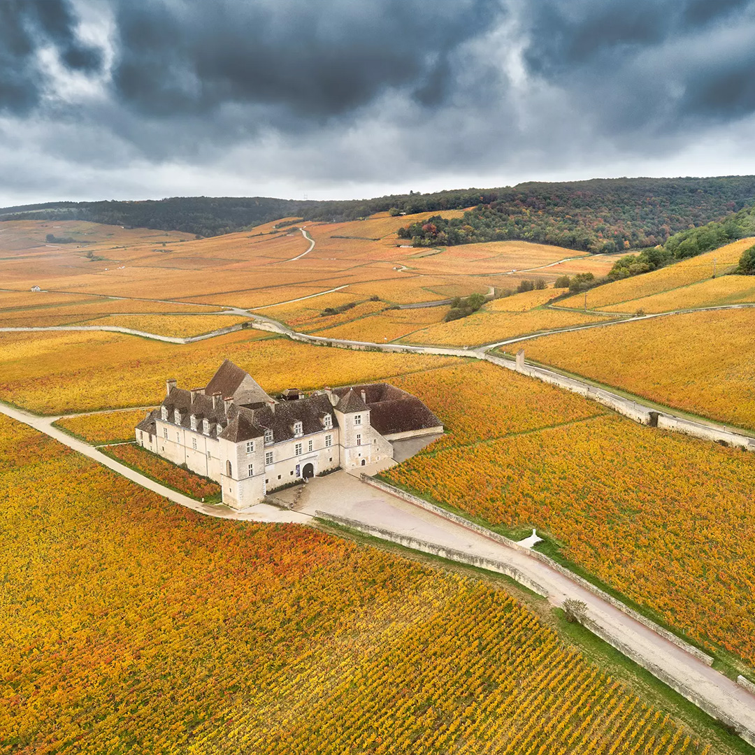 Maison Joseph Drouhin, Francia