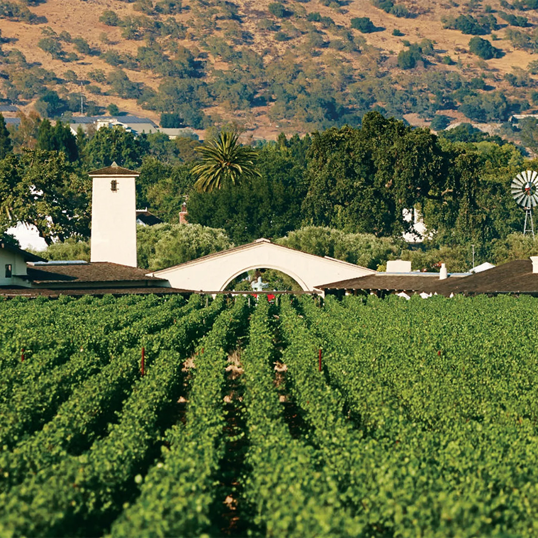 Robert Mondavi, USA