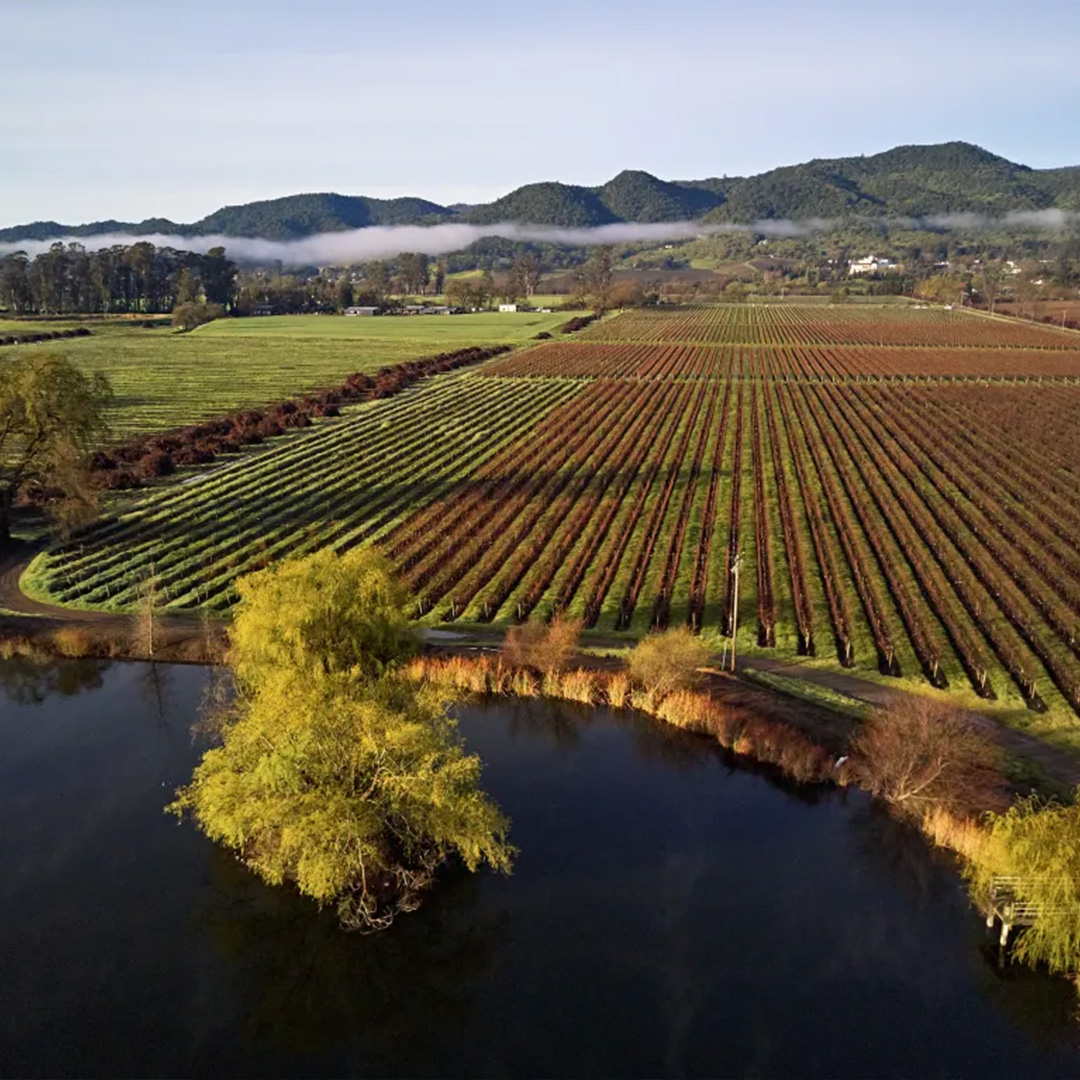 Silverado Vineyards, USA