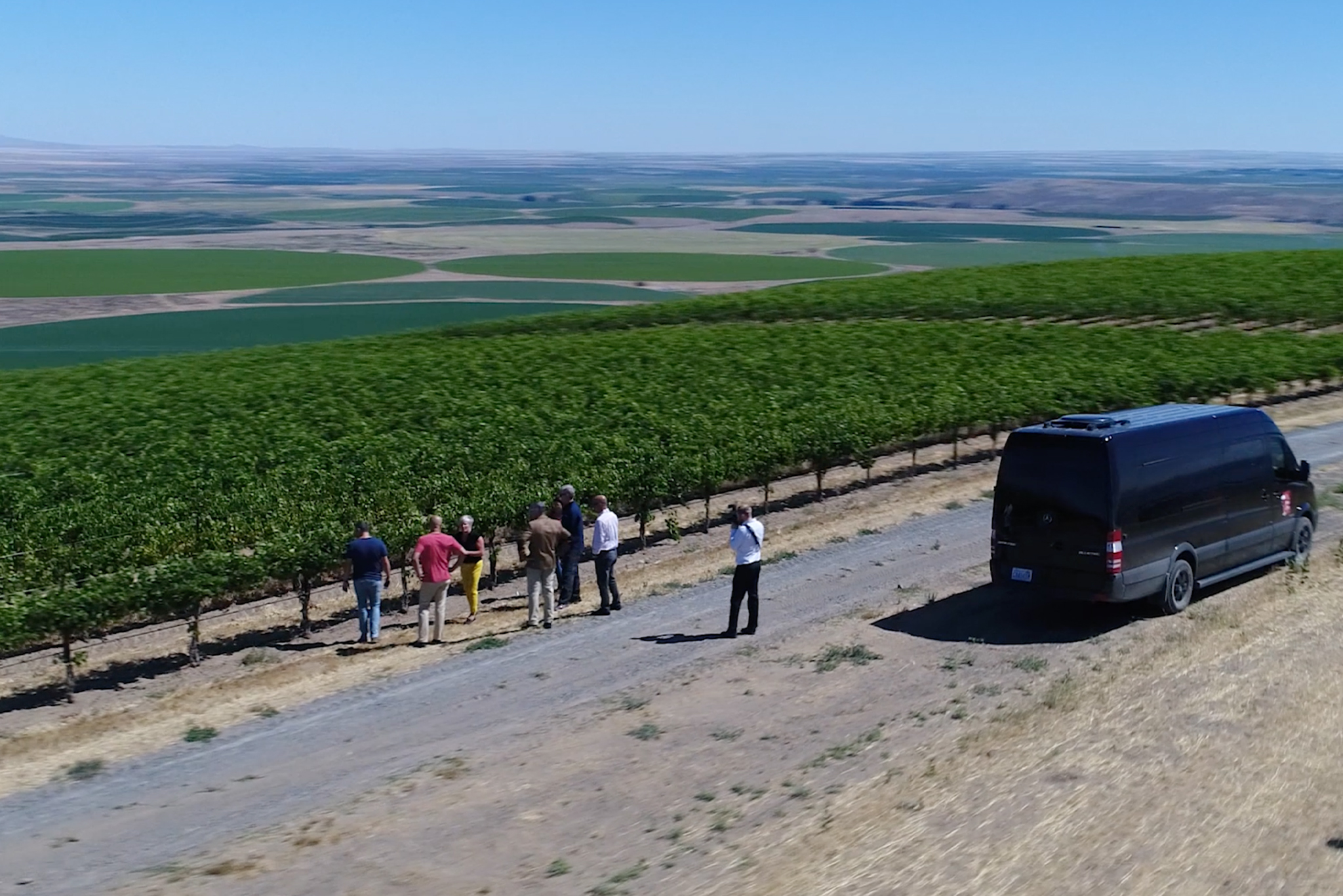 Admiring the expansive vineyards of Columbia Valley, Washington.
